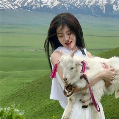 小熊维尼与大风吹